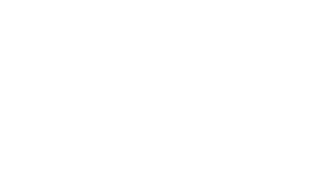 ECCO Safety Group